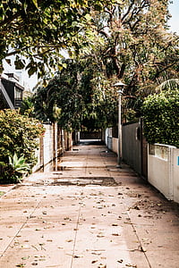photo of narrow pathway surrounded by trees thumbnail