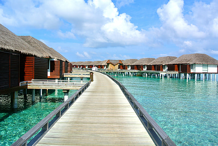 beach dock photograph thumbnail