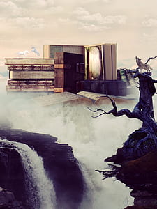 wolf on top of dead tree beside waterfalls thumbnail