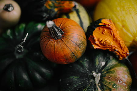 Variety of Pumpkins thumbnail