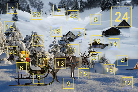 brown reindeer with sleigh neat green trees with snow thumbnail
