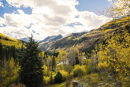 green leafed trees near mountain during daytime thumbnail