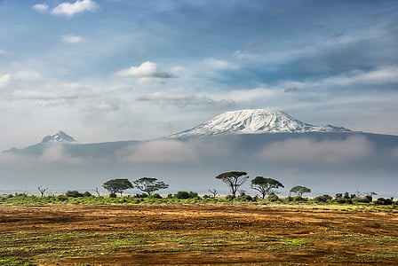 green leaf trees with white mountain at distance at daytime thumbnail