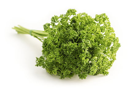 green leaf vegetable thumbnail