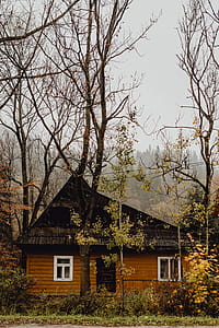 Old wooden houses in the mountains in autumn thumbnail
