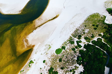 closeup photo of green and white surface thumbnail
