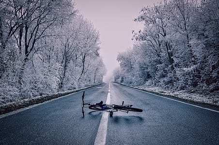 photo of blue bicycle lying on center of asphalt road surrounded by snow covered trees thumbnail