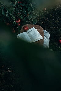 opened book beside red apple thumbnail