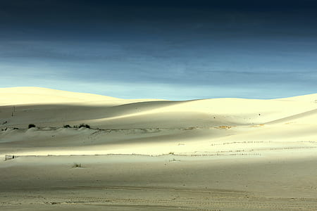 white desert thumbnail