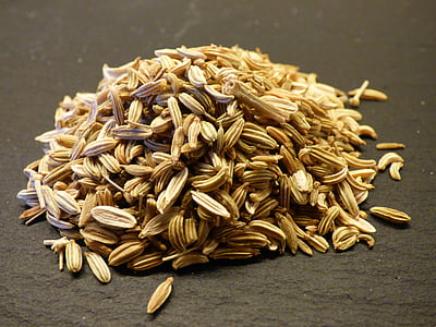 pile of seeds thumbnail
