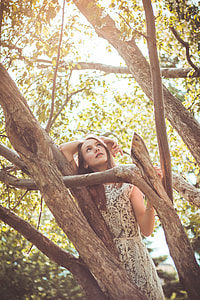 woman on top of tree brances thumbnail