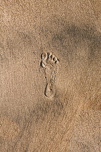 footprint thumbnail