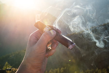 person holding brown tobacco thumbnail