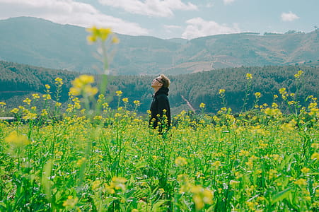 Man Standing on Yellow Bed of Flowers thumbnail