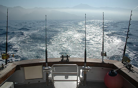 five brown and gray fishing rods in boat surrounded by body of water at daytime thumbnail