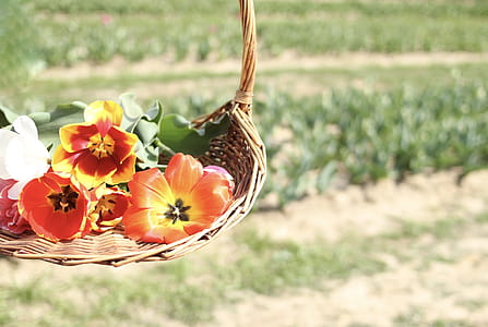 Assorted Flowers On Brown Wicker Basket thumbnail