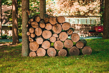 brown firewoods thumbnail