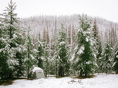 gray tent surrounded by pine trees covered with snow thumbnail