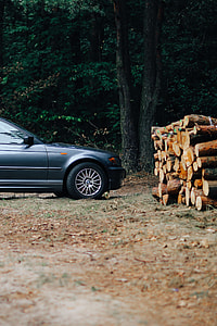Car trip through fields and forests thumbnail