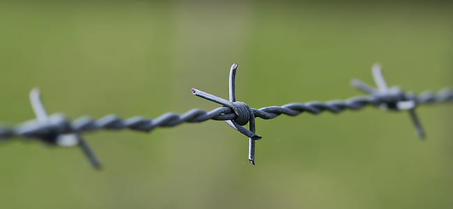 selective focus of gray burb wire thumbnail