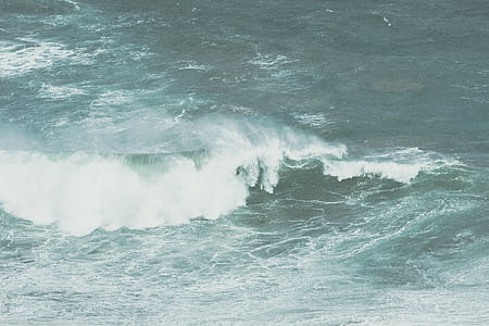 sea at daytime thumbnail