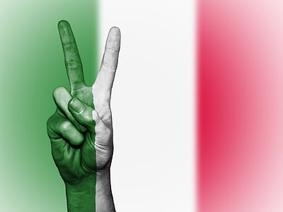 person's hand doing peace sign with flag of France photo overlay thumbnail