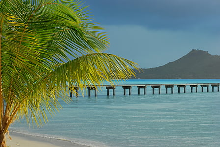 photo of sea dock on body of water thumbnail