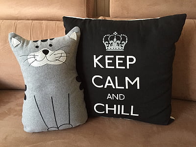 cat-themed and black pillows on brown couch thumbnail