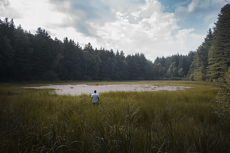 man walking on green grass thumbnail