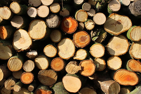 pile of brown logs thumbnail