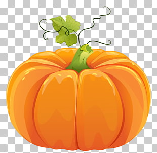 Pumpkin , Autumn Pumpkin , squash poster PNG clipart