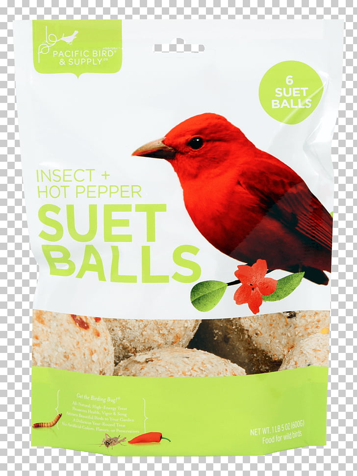 Bird Food Suet Cake Bird Feeders Bird Png Clipart Free Cliparts