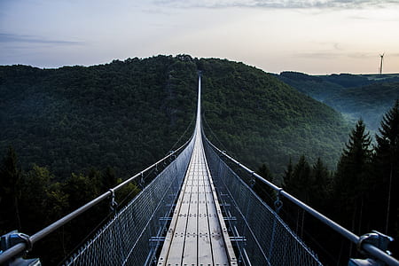 bridge during daytime thumbnail