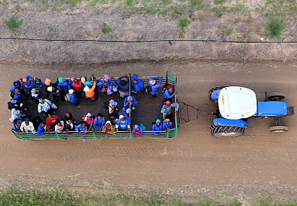 aerial view photography of people riding on green trailer during daytime thumbnail