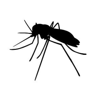 Illustration of mosquito silhouette. thumbnail