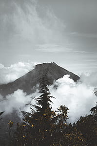 mountain covered with fogs thumbnail
