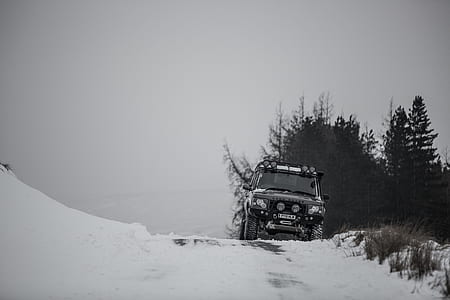 black vehicle near tree thumbnail