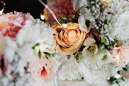 Bouquet of flowers in a bag with some fairy lights thumbnail