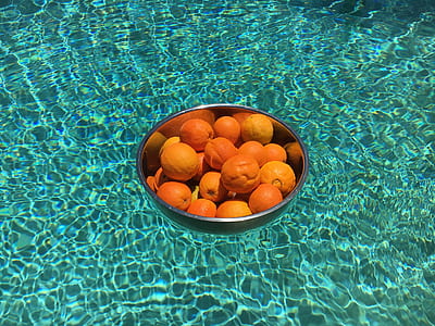 food, healthy, water, summer thumbnail