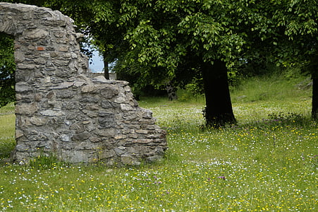 gray concrete post beside tree thumbnail