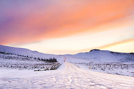 snow-covered pathway under orange sky thumbnail