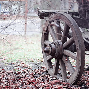 shallow focus photo of brown carriage wheel thumbnail