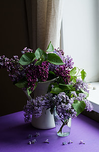 purple flowers plant on white ceramic pot thumbnail
