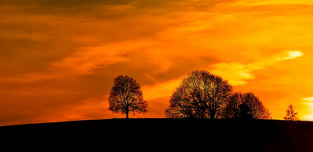 silhouette of trees on hill during susnet thumbnail