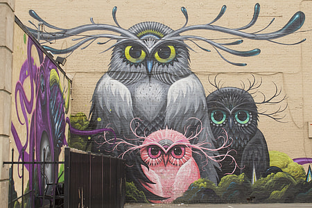 three multicolored owl wall art thumbnail