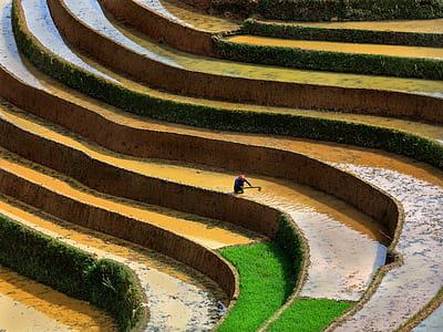 landscape photo of rice stair thumbnail