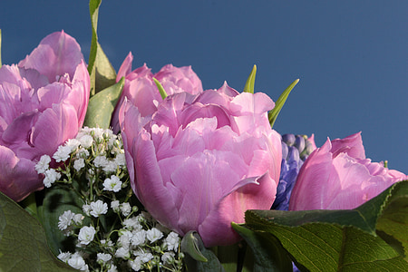 close-up photography of pink peonies and white baby's breath flowers thumbnail