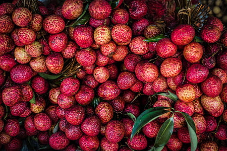 round red fruit lot thumbnail