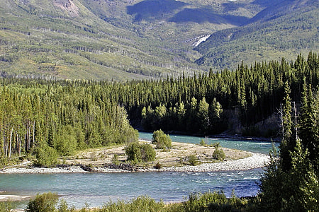 photography of river surrounded by trees near mountains thumbnail