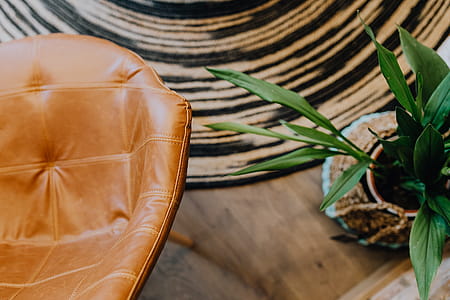 Details of modern interior with green plants thumbnail